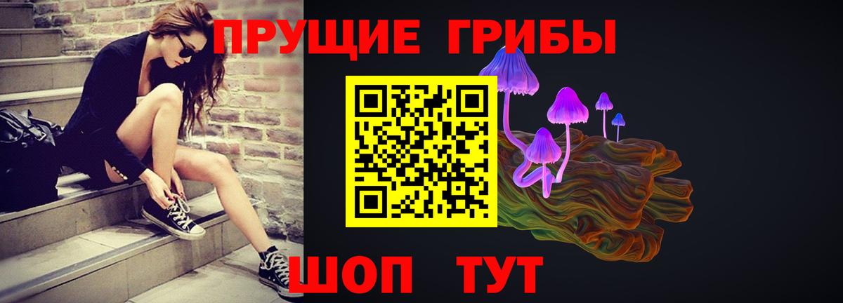 Псилоцибиновые грибы Psilocybine cubensis Краснодар